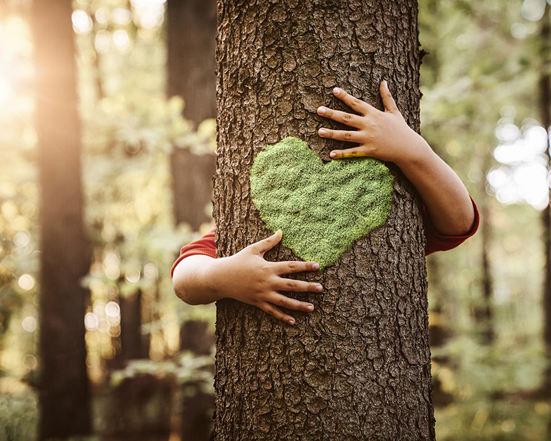 Child holding hands around a tree with a heart - therapy for kids in Madison, WI