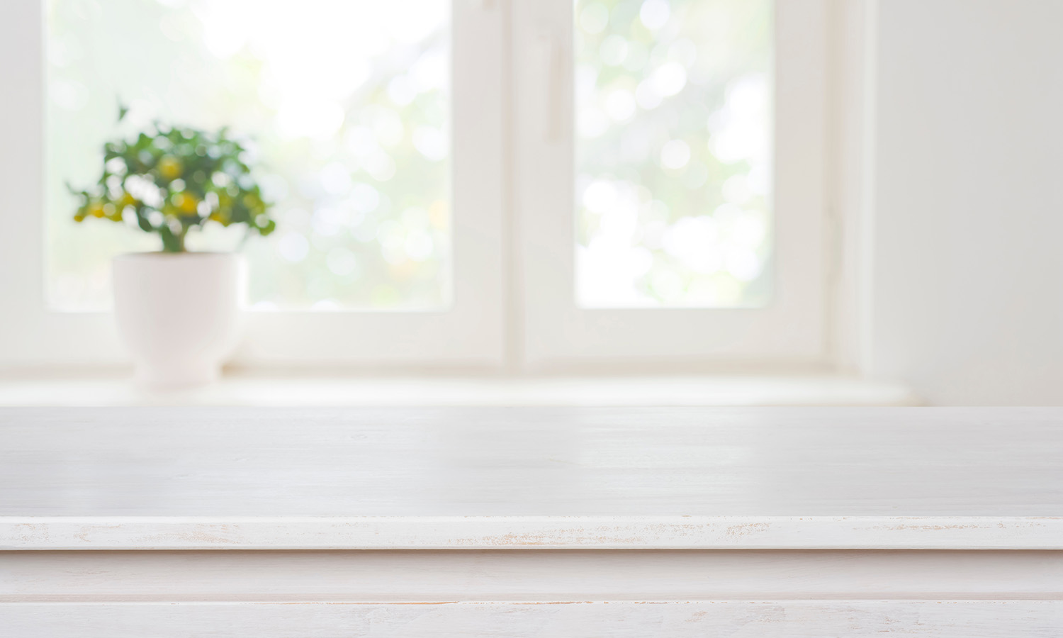 Small plant on a window sill for therapy in Wisconsin