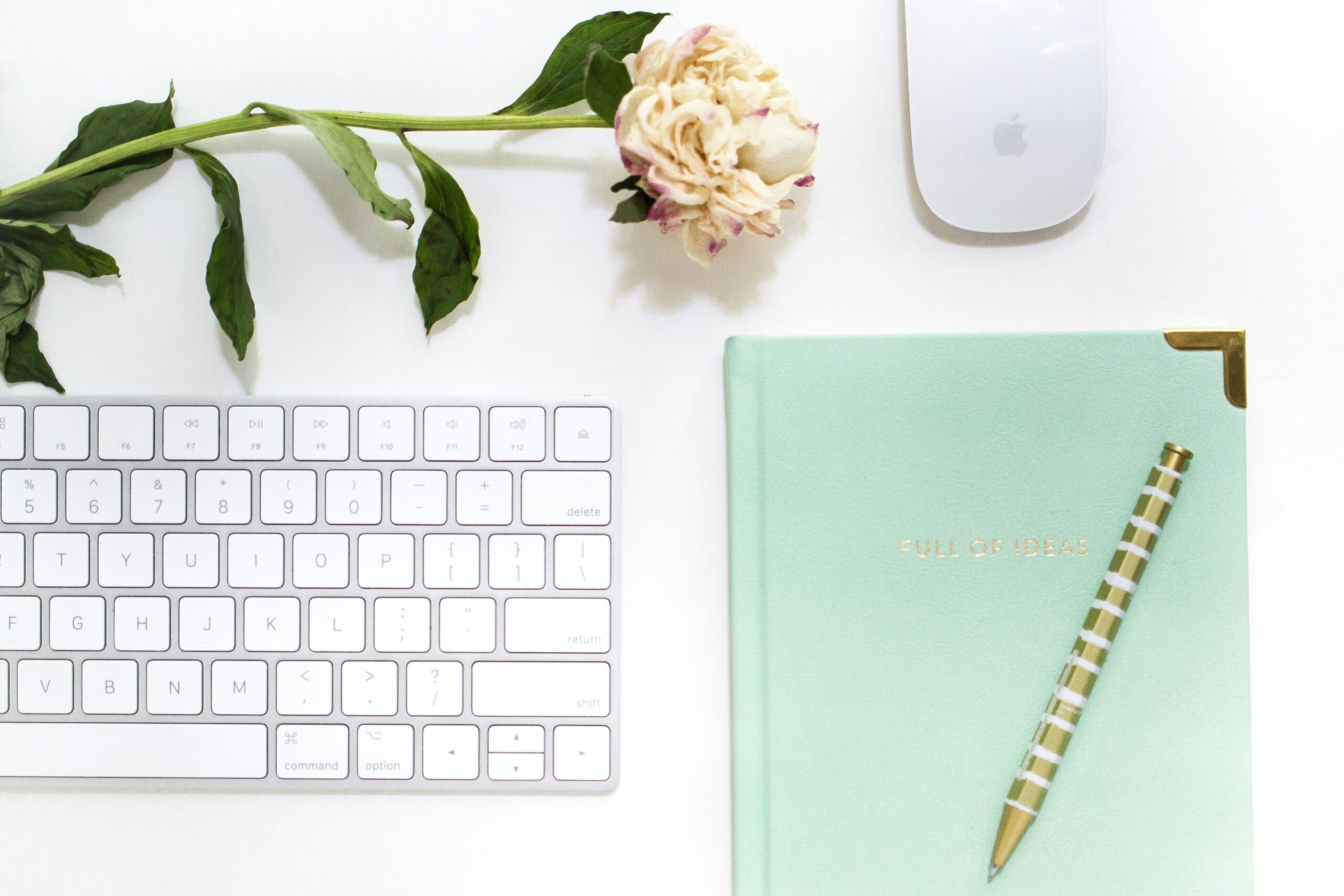 Computer keyboard and notebook with a rose on top - representing the journey to a PhD