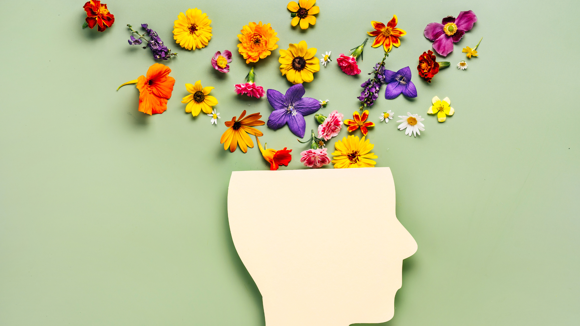 world mental health day Madison WI illustration of head with flowers coming out of the brain