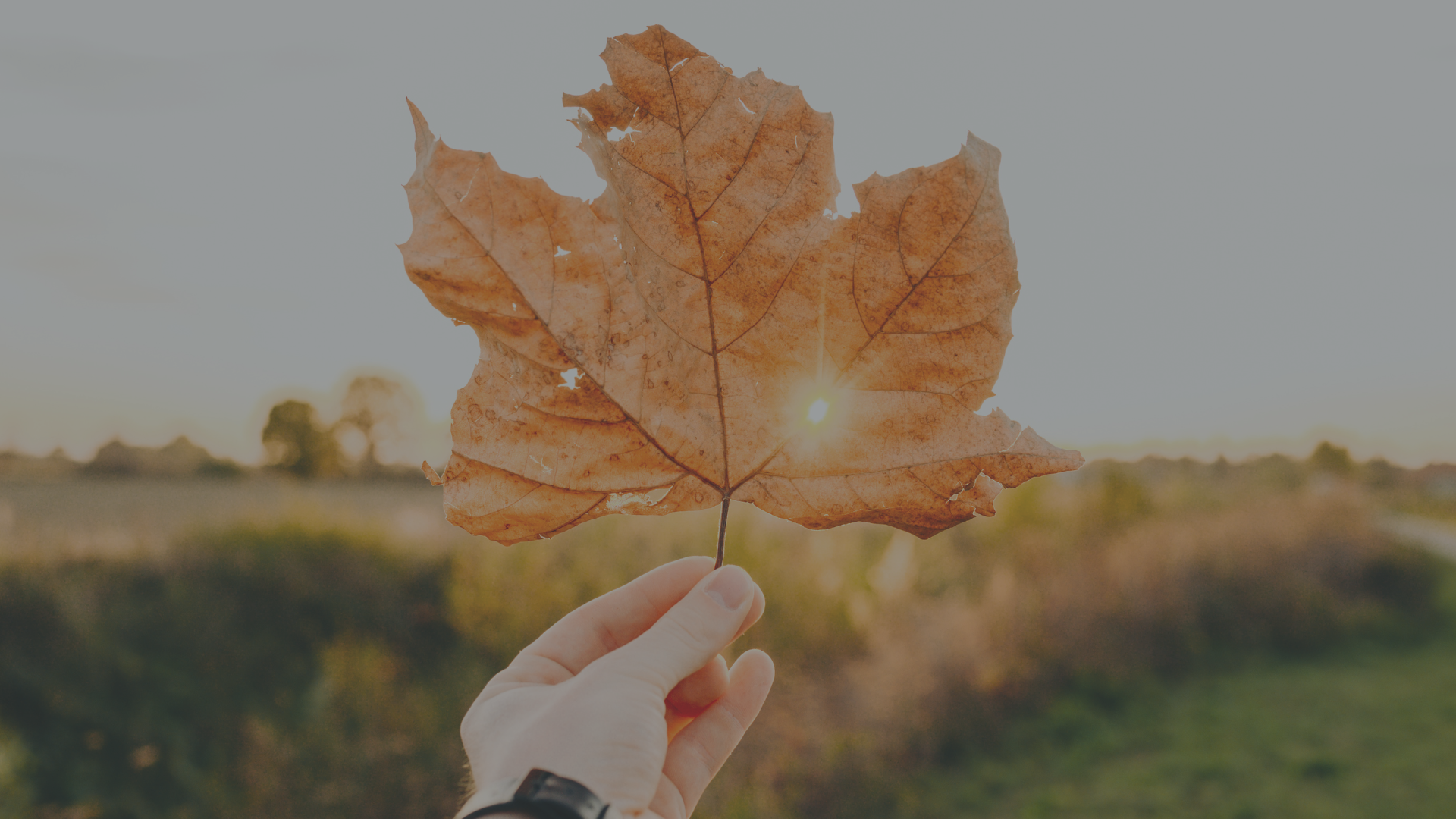 seasonal depression Madison WI fall sunset with hand holding orange maple leaf