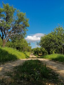 Merging paths symbolizing how to find the right stress therapist for young adults in Madison WI