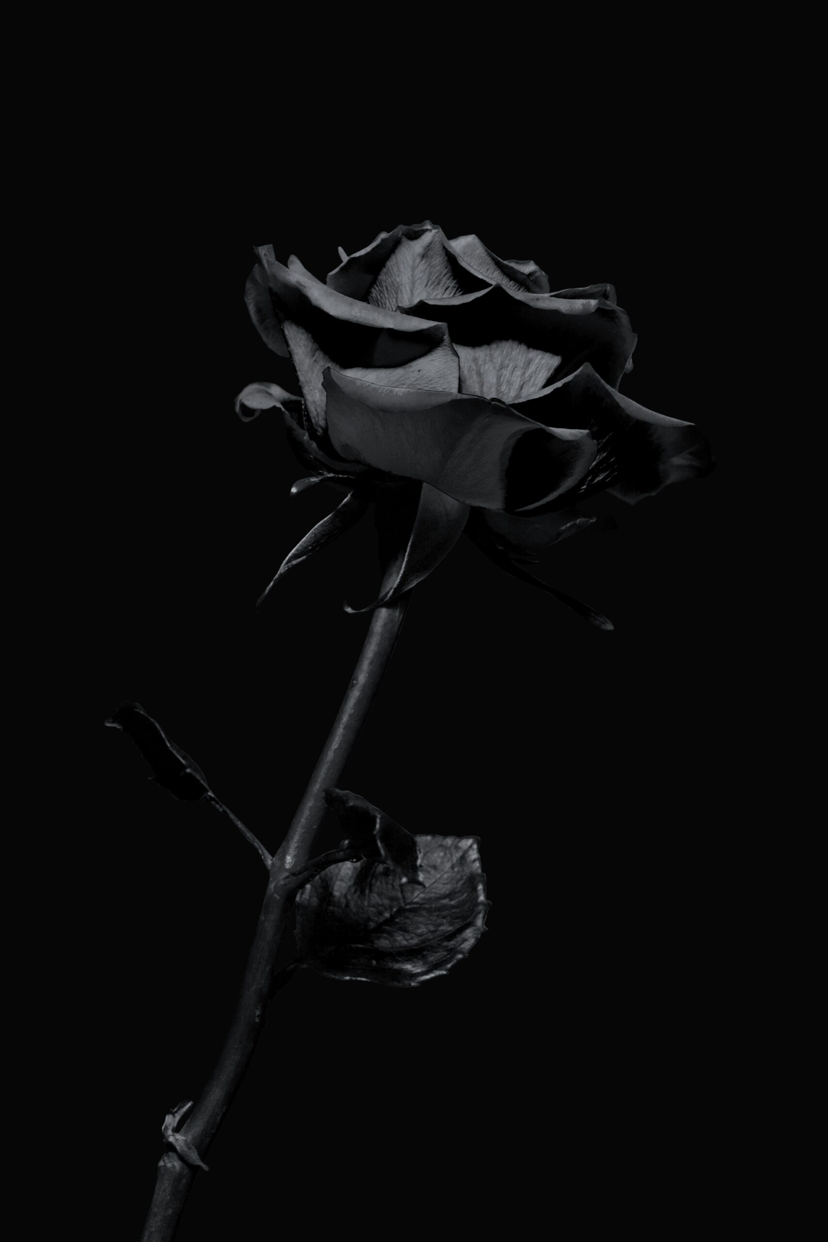 adrian-regeci-LR5-H-gLAhE-unsplash
