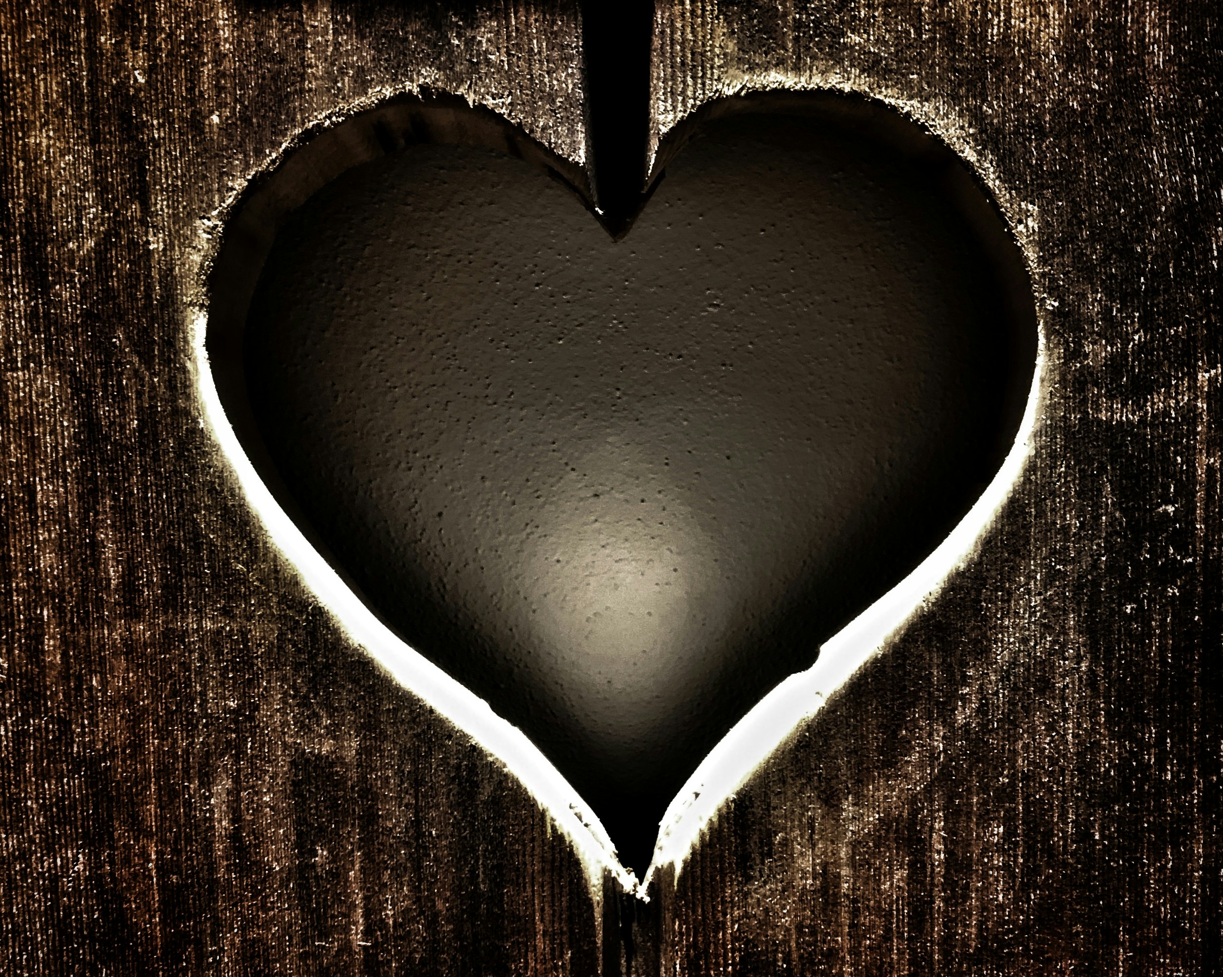 bernd-dittrich-0-KN3bJM92o-unsplash