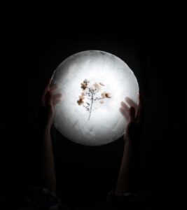 Hands holding a glowing circular light with delicate dried flowers inside, symbolizing hope, reflection, and emotional healing during Mental Health Awareness Month in Madison WI.