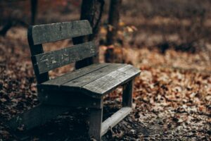 Empty park bench representing ambiguous loss and grief beyond death in Madison, WI.