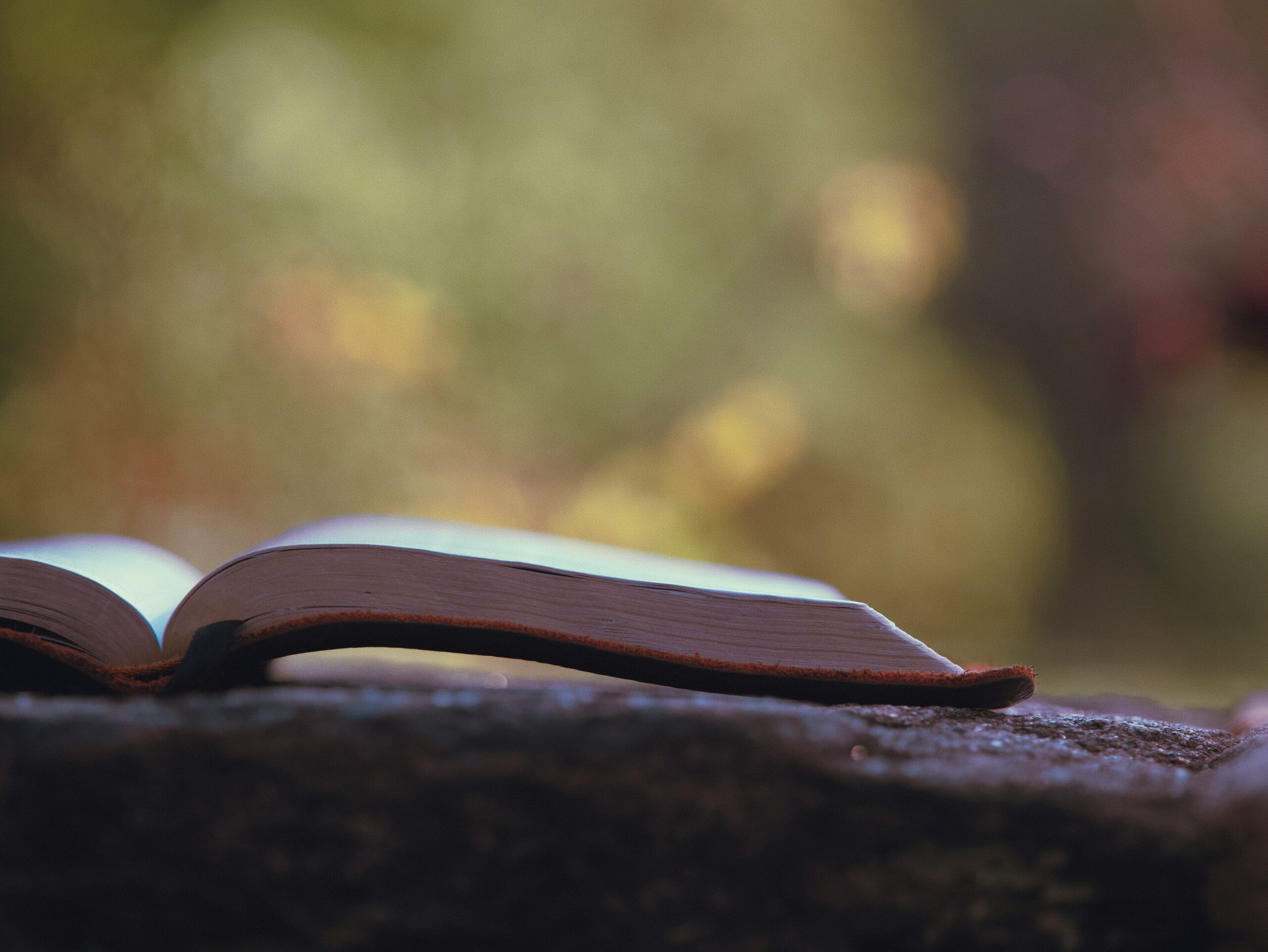 Open Bible resting outdoors, representing Christian counseling that thoughtfully integrates faith with evidence-based therapy.