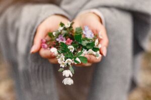 Person gently holding a collection of small colorful wildflowers